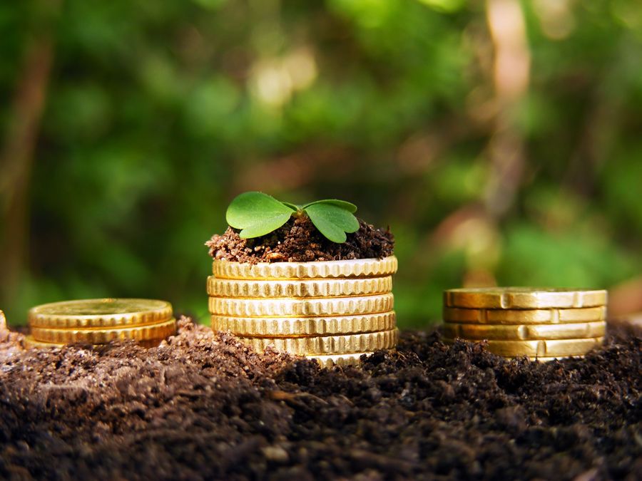 Gospodăriile țărănești ar putea beneficia de un pachet extins de asigurări sociale