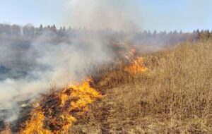 41 de incendii de vegetație într-o singură zi. Zeci de hectare au fost mistuite de flăcări