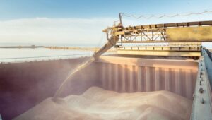 Licențierea cerealelor și oleaginoaselor din Ucraina se încheie