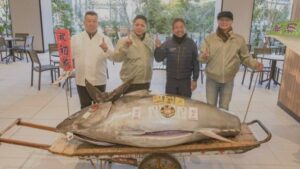 Licitație spectaculoasă în Japonia: un ton roșu aduce noroc și un preț de milioane