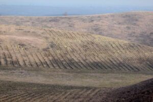 Fermierii cer soluții rapide pentru a face față secetei severe