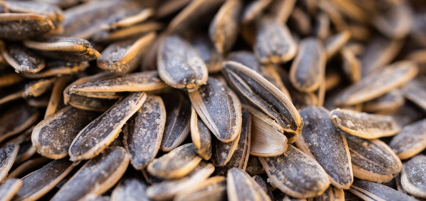 Șapte persoane condamnate pentru fraudă de 245.000 lei