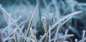15 января в Молдове ожидается до -10 °C, на севере прогнозируют снег