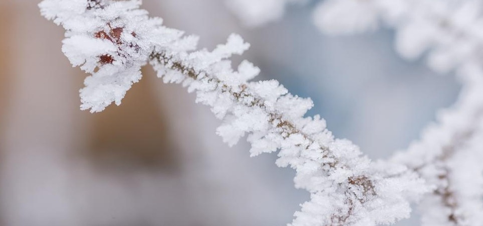 Cod galben de înghețuri în weekend până la -2 grade Celsius
