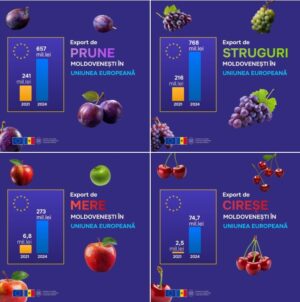 Drumul fructelor moldovenești spre succes pe piața europeană