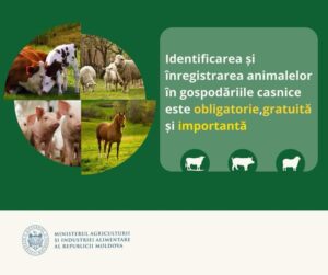 Ministerul Agriculturii solicită înregistrarea animalelor pentru siguranța alimentară