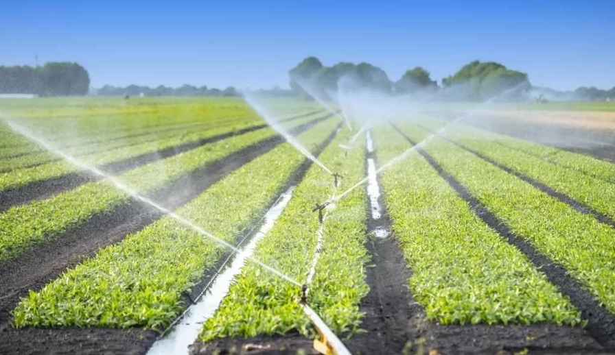 Fermierii pot solicita sprijin financiar pentru irigații și investiții climatice din 28 octombrie
