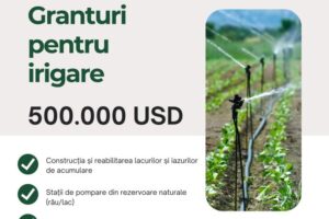Granturi pentru dezvoltarea sistemelor de irigare