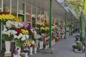 Цветочный бизнес и HoReCa под прицелом налоговой службы