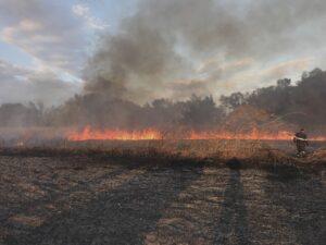 Măsuri de prevenire a incendiilor: IGSU îndeamnă cetățenii să evite arderea vegetației uscate