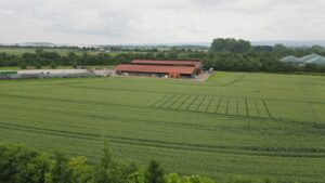 Legea camerelor agricole în centrul controversei: аgricultorii cer retragerea proiectului