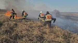 ГИЧС: избегайте разведения открытого огня вблизи лесов и сельхозугодий