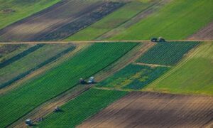 Acordul comercial dintre Uniunea Europeană și blocul Mercosur a intrat în aplicare provizorie începând de vineri, marcând o etapă importantă în implementarea unuia dintre cele mai ambițioase tratate de liber schimb negociate de UE. Aplicarea deplină a documentului rămâne condiționată de aprobarea Parlamentului European, care așteaptă în prezent avizul Curții de Justiție a Uniunii Europene privind compatibilitatea acordului cu legislația comunitară.