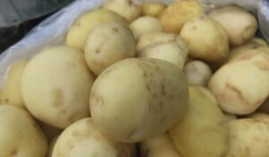 Цены на картофель в Кишинёве: белорусский дешевле молдавского