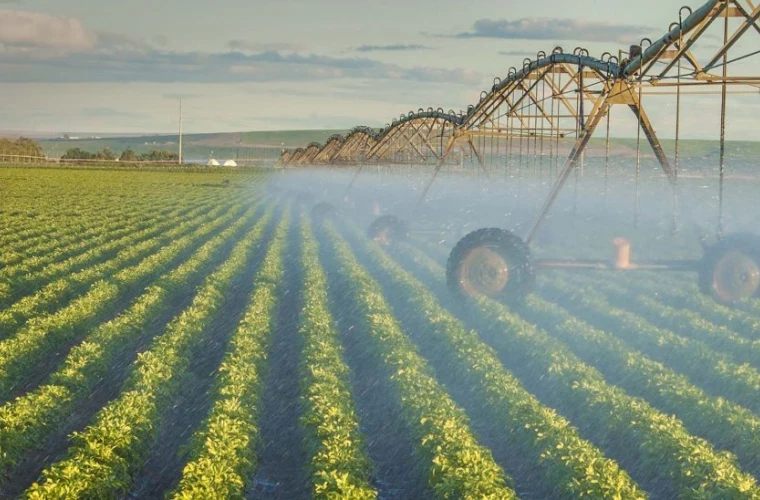 130 de milioane de euro pentru irigații, dar acoperire de doar 0,4% din terenurile agricole