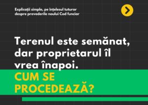 Terenuri abandonate și conflicte agricole: Ce se întâmplă când proprietarul revine?