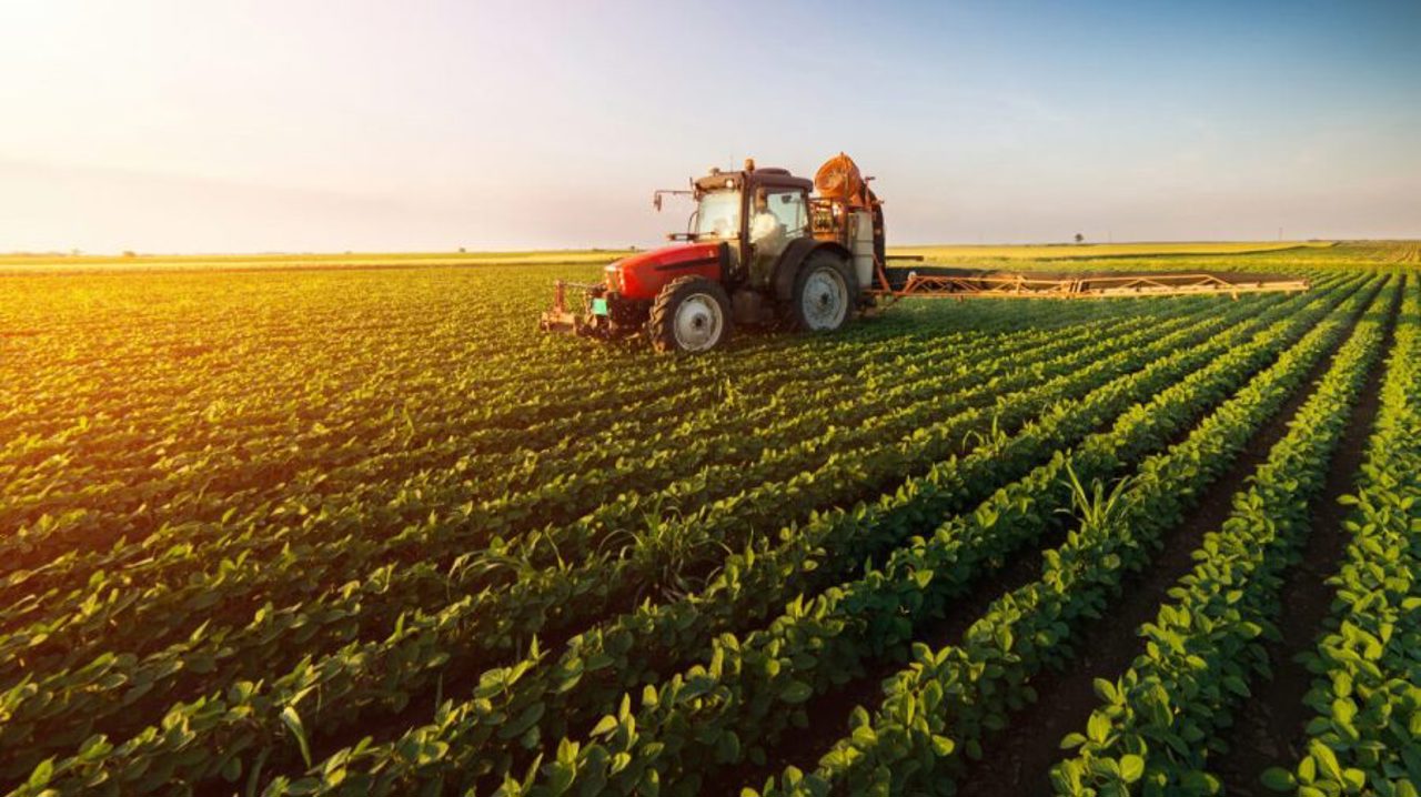 Finanțare strategică pentru agricultură: peste jumătate de miliard lei alocați prin FCA