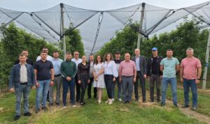 Producătorii învață bune practici la seminarul pentru exportul fructelor