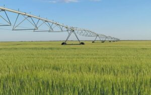 Republica Moldova consolidează parteneriatul agricol cu Germania: Accent pe irigații, cercetare și cooperare între fermieri