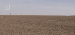 Înghețuri târzii compromit culturile agricole