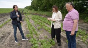 Costuri suplimentare pentru agricultori din cauza înghețurilor târzii