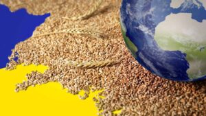 Ucraina majorează prețurile pentru export la cereale