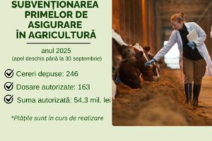Protecție financiară pentru fermieri: cererile de subvenție pentru asigurări, în creștere