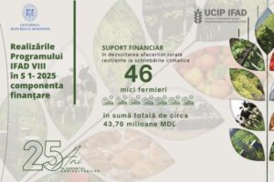 Tinerii fermieri și femeile antreprenor, printre principalii beneficiari ai investițiilor IFAD în 2025