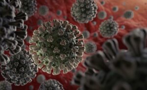 Новый отчёт ВОЗ о происхождении COVID-19