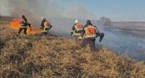 38 de incendii de vegetație într-o singură zi