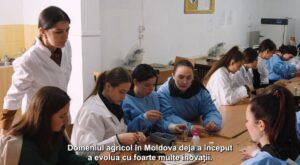 A început admiterea în universități și colegii: alege o specialitate agricolă