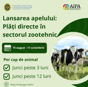 Un nou apel pentru sprijin financiar în zootehnie: cererile pot fi depuse din 15 august