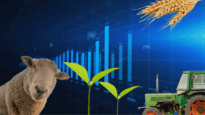 Producția agricolă în prima jumătate a anului 2025: scădere cu 5,8% față de anul precedent