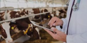 ANSA oferă gratuit certificatele veterinare pentru animalele din gospodării