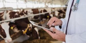 Programele de studii veterinare din Republica Moldova – în proces de aliniere la cerințele Uniunii Europene