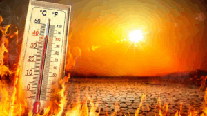 Жара до +35°C, ГИЧС публикует рекомендации