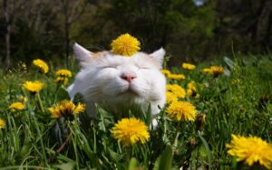 Погода в Молдове на 14 августа: до 33 ℃