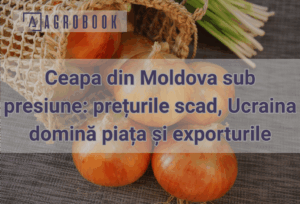 Ceapa moldovenească pierde teren în fața Ucrainei