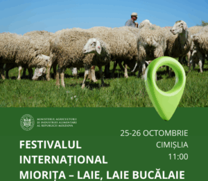 Festivalul Internațional Miorița la Cimișlia