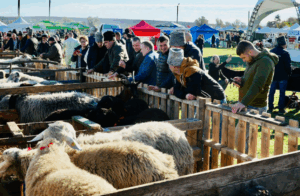 Ediția a IX-a a Festivalului Internațional „Miorița – Laie, Laie Bucălaie” a fost inaugurată la Cimișlia