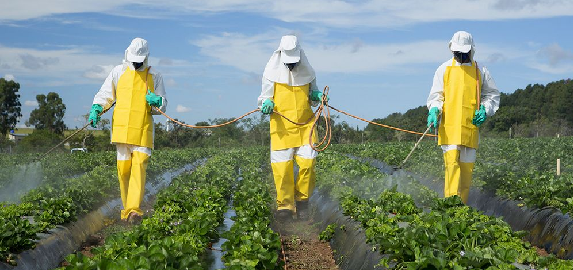 Exportatorii moldoveni atenție: Franța blochează alimente cu reziduuri interzise