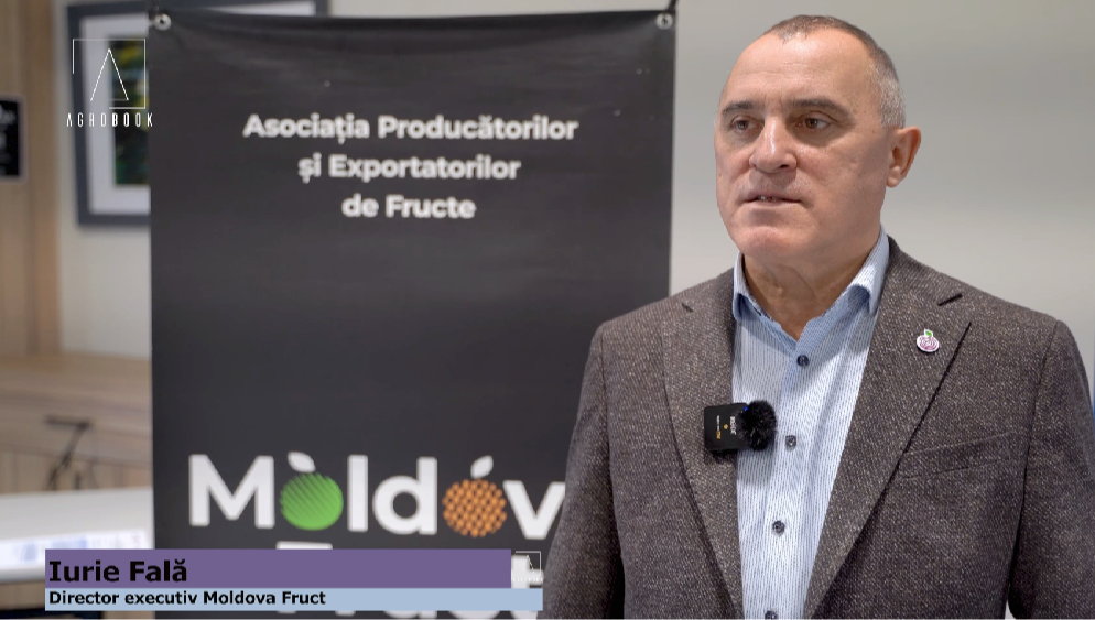 Юрий Фалэ: запасы яблок в январе 2026 – на январском уровне прошлого года