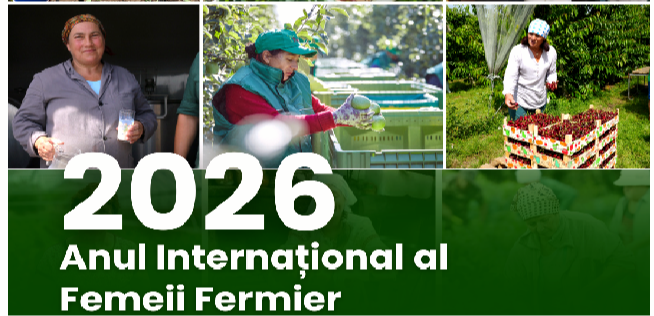2026 – Anul Internațional al Femeii Fermier: ce se schimbă în agricultura Moldovei