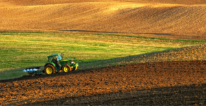 Uleiurile vegetale se scumpesc: palmier și soia în focus pe fondul tensiunilor globale și al dezechilibrelor de ofertă