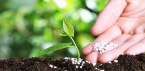 Piața îngrășămintelor din Brazilia transmite semnale mixte pentru agricultura sezonului 2026/2027
