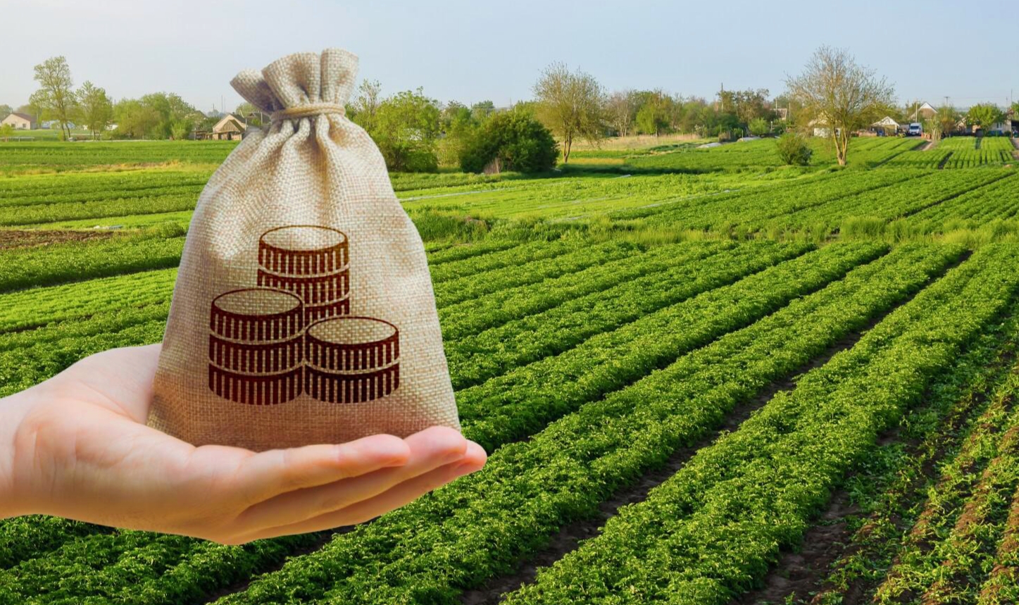 AIPA 2026: criteriile care decid cine primește finanțare în agricultură