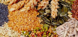 PIAȚA CEREALELOR ȘI OLEAGINOASELOR ÎN REPUBLICA MOLDOVA