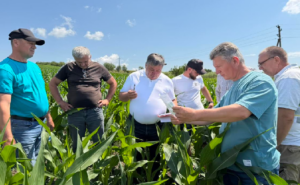Agricultura prinde rădăcini moderne: FAO dezvoltă rețeaua Școlilor de câmp
