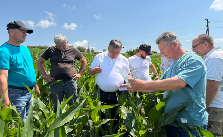 Agricultura prinde rădăcini moderne: FAO dezvoltă rețeaua Școlilor de câmp