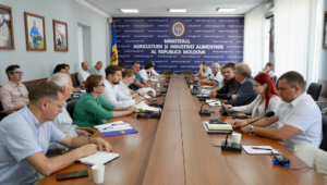 Fond mutual și noi modele de asigurare: MAIA pregătește schimbări în gestionarea riscurilor agricole
